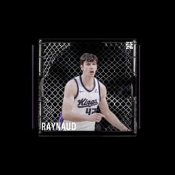 Maxime Raynaud